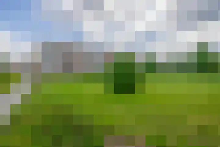 Laaghuissingel 15 Venlo thumbnail 27