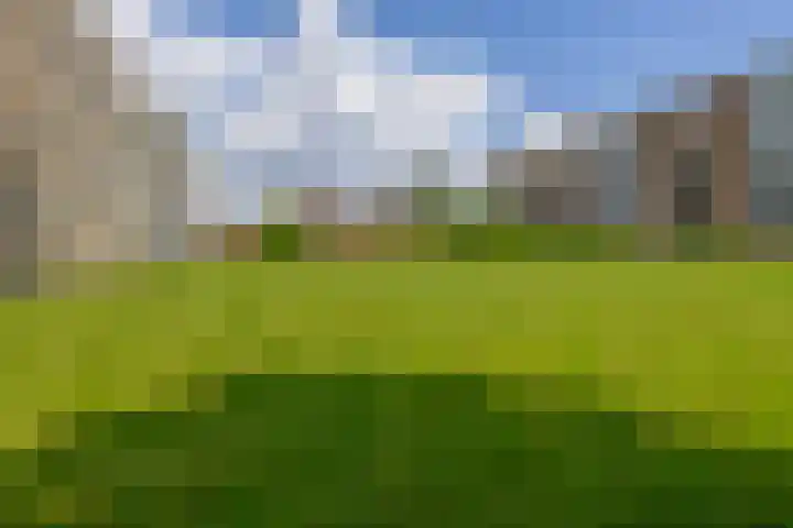 Laaghuissingel 15 Venlo thumbnail 28