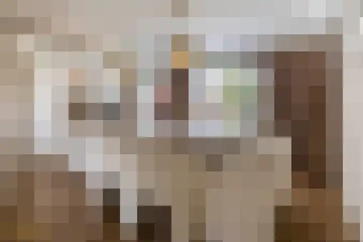 Laaghuissingel 15 Venlo thumbnail 36