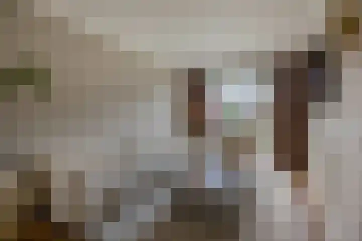 Laaghuissingel 15 Venlo thumbnail 6