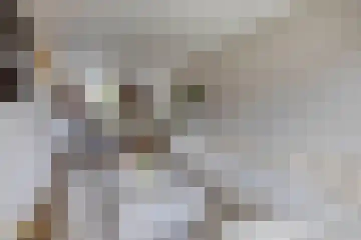 Laaghuissingel 15 Venlo thumbnail 7