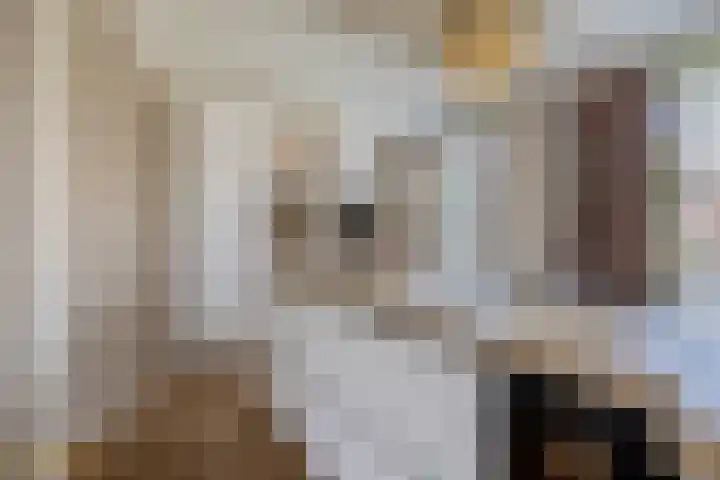 Laaghuissingel 15 Venlo thumbnail 8