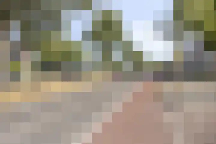 Laaghuissingel 169 Venlo thumbnail 20
