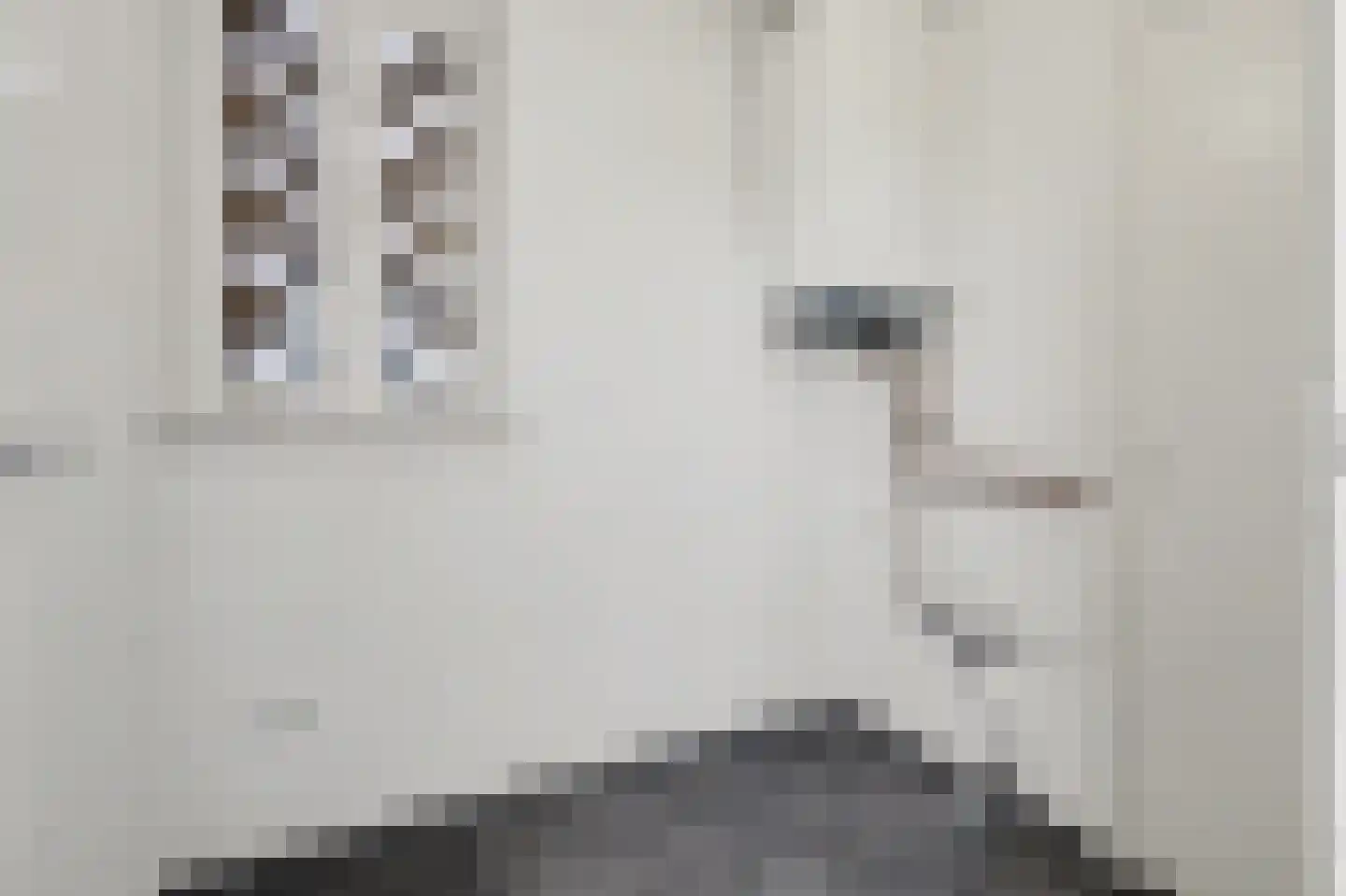 Laaghuissingel 173 Venlo thumbnail 16
