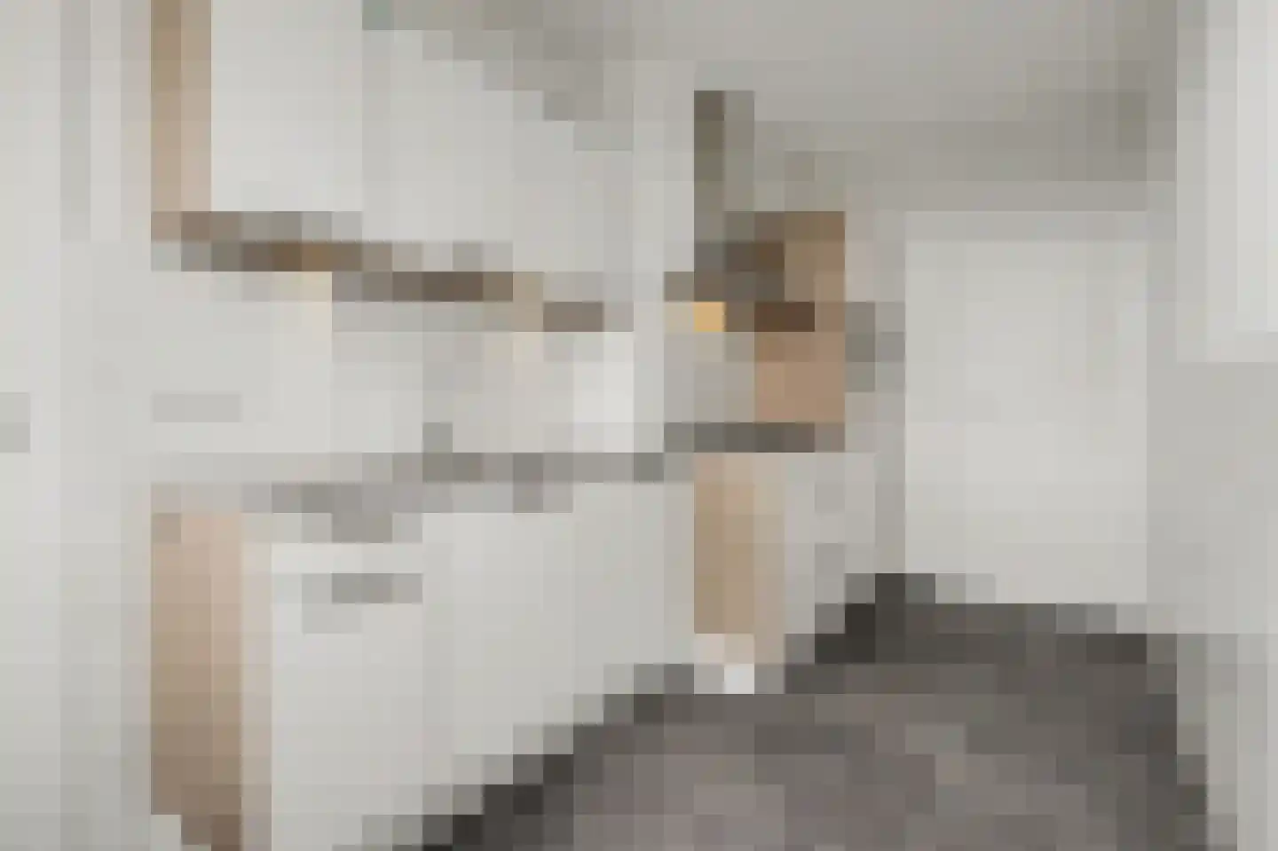 Laaghuissingel 173 Venlo thumbnail 8