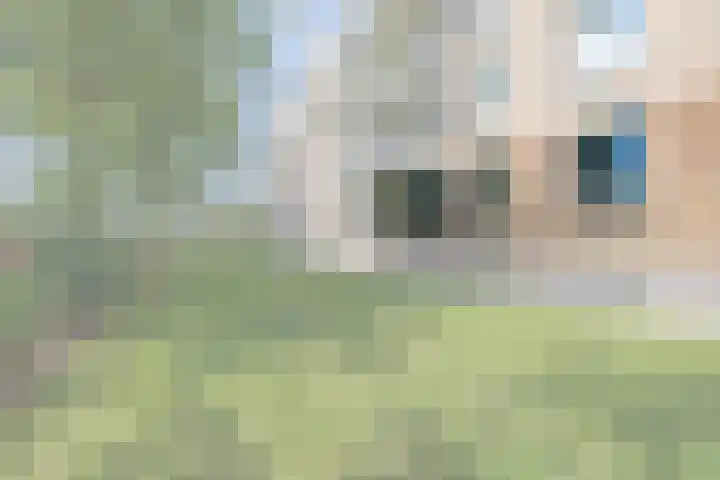 Laaghuissingel 215 Venlo thumbnail 20