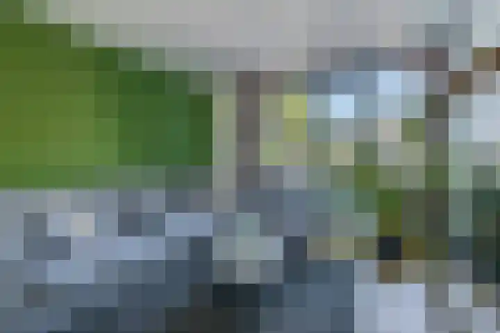 Laaghuissingel 215 Venlo thumbnail 4