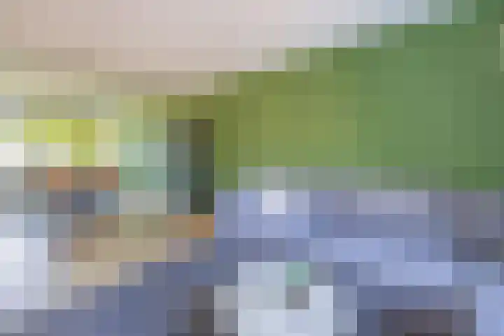 Laaghuissingel 215 Venlo thumbnail 5