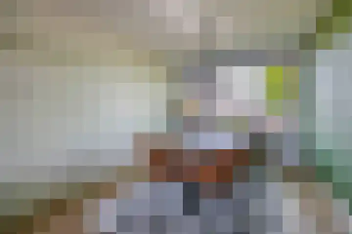 Laaghuissingel 215 Venlo thumbnail 7