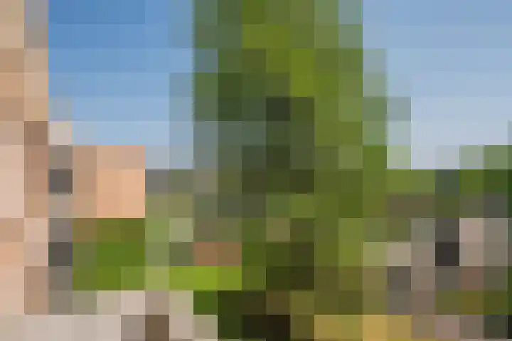 Laaghuissingel 219 Venlo thumbnail 15
