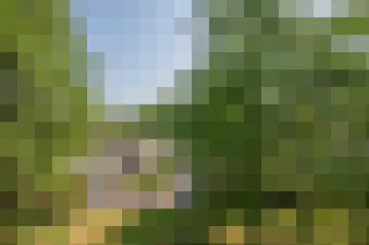Laaghuissingel 219 Venlo thumbnail 17