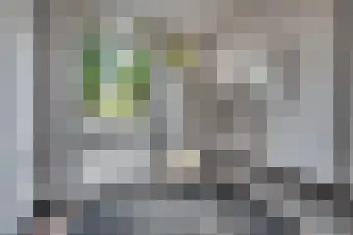 Laaghuissingel 219 Venlo thumbnail 29
