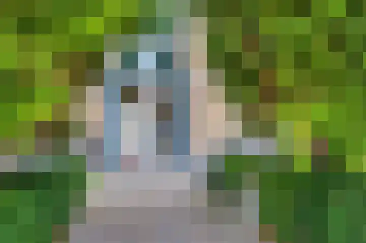Laaghuissingel 219 Venlo thumbnail 31