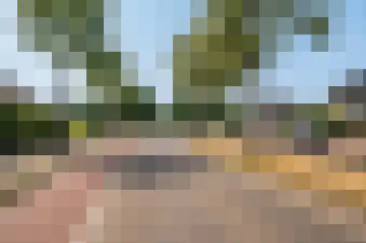 Laaghuissingel 219 Venlo thumbnail 33