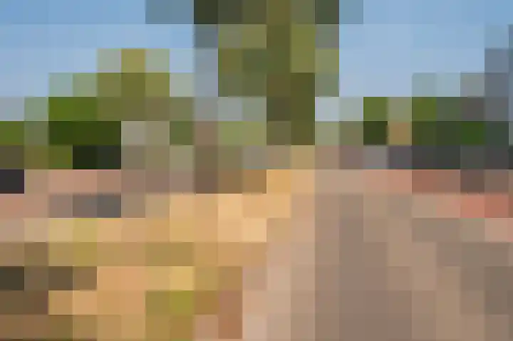 Laaghuissingel 219 Venlo thumbnail 34