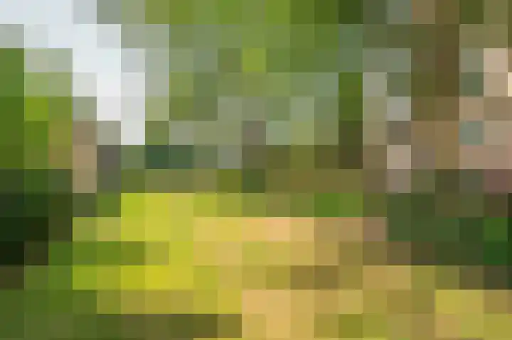 Laaghuissingel 219 Venlo thumbnail 35