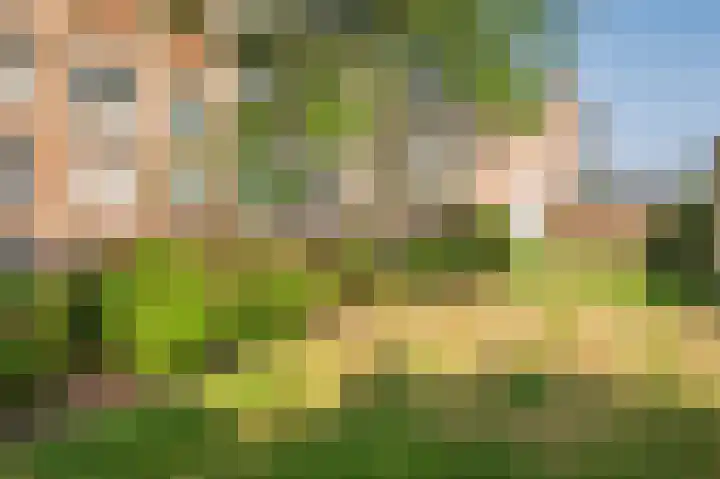 Laaghuissingel 219 Venlo thumbnail 36