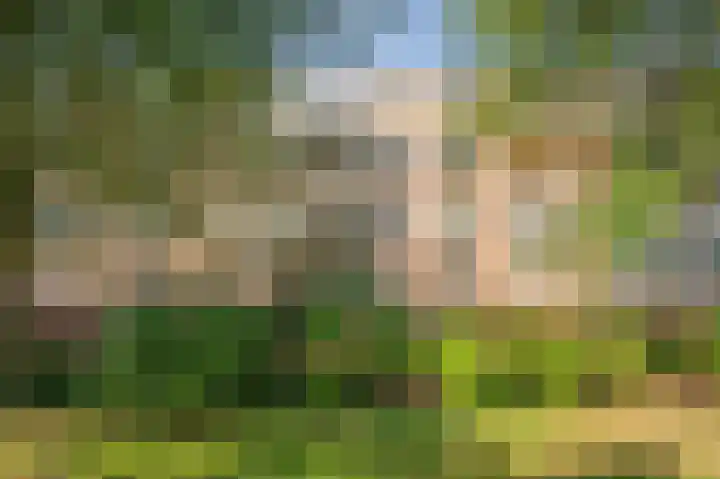 Laaghuissingel 219 Venlo thumbnail 7