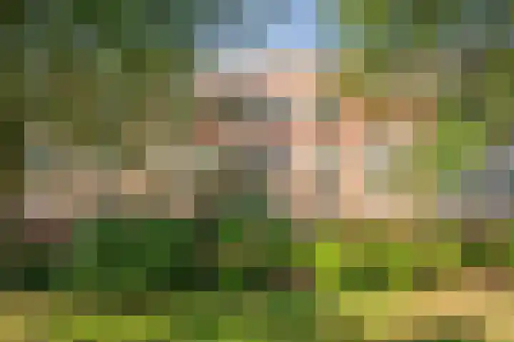 Laaghuissingel 219 Venlo thumbnail 8