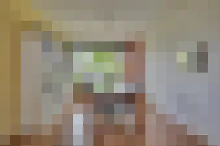 Laaghuissingel 223 Venlo thumbnail 12