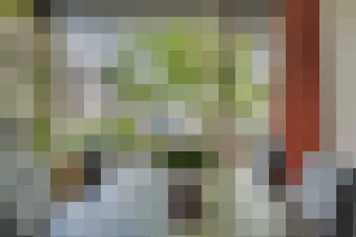 Laaghuissingel 223 Venlo thumbnail 13