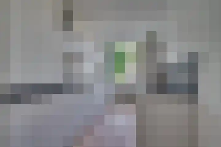 Laaghuissingel 223 Venlo thumbnail 22