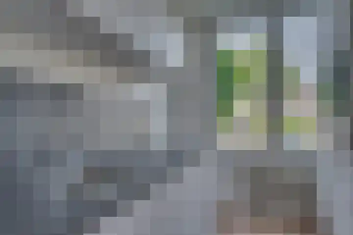 Laaghuissingel 223 Venlo thumbnail 23