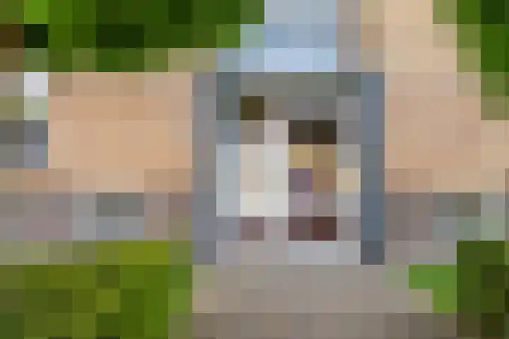 Laaghuissingel 223 Venlo thumbnail 31
