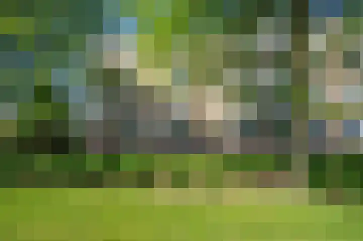 Laaghuissingel 223 Venlo thumbnail 35