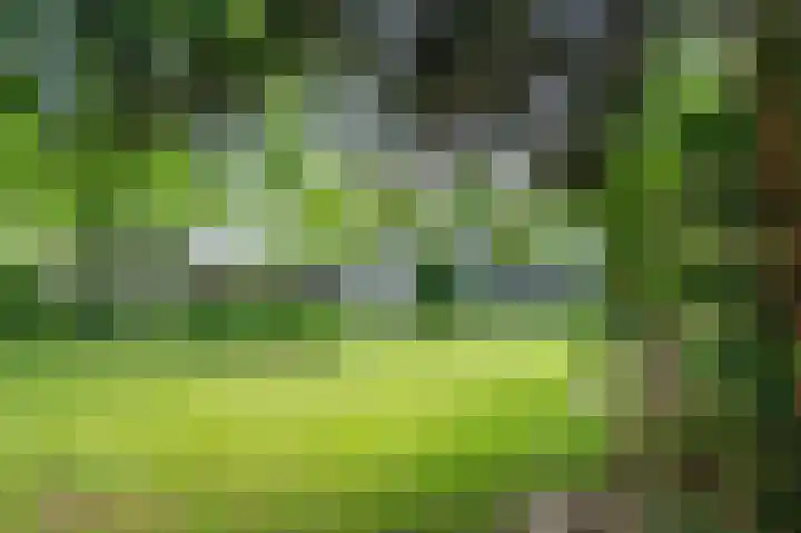 Laaghuissingel 223 Venlo thumbnail 36