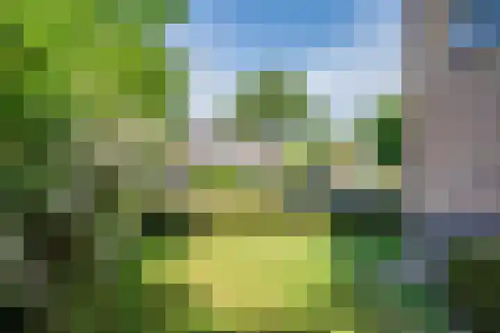 Laaghuissingel 223 Venlo thumbnail 37