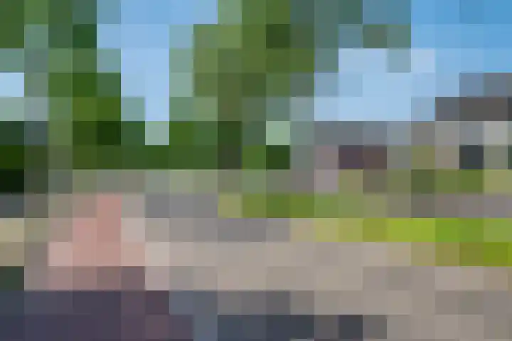 Laaghuissingel 223 Venlo thumbnail 38