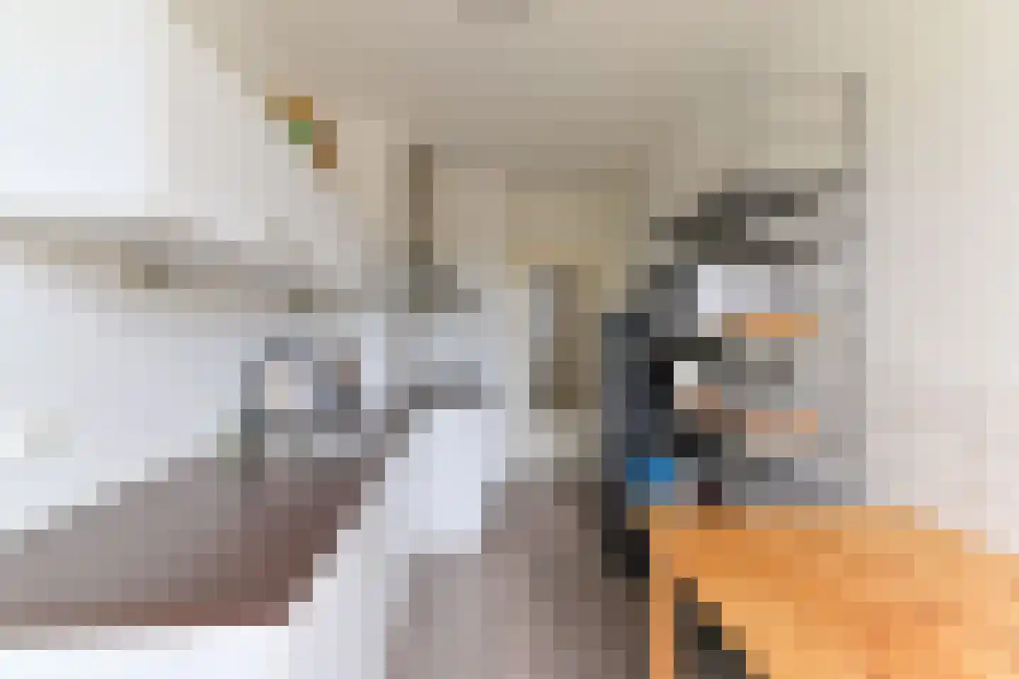 Laaghuissingel 25 Venlo thumbnail 10