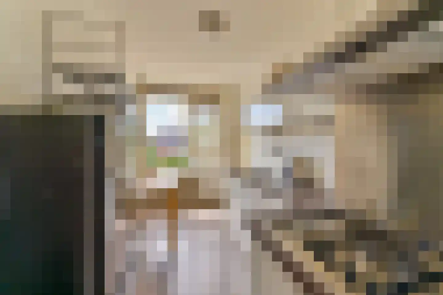 Laaghuissingel 25 Venlo thumbnail 11