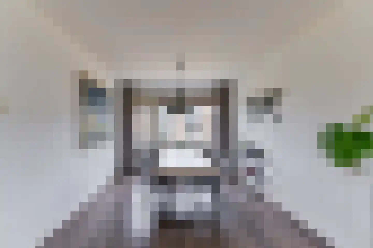 Laaghuissingel 25 Venlo thumbnail 6