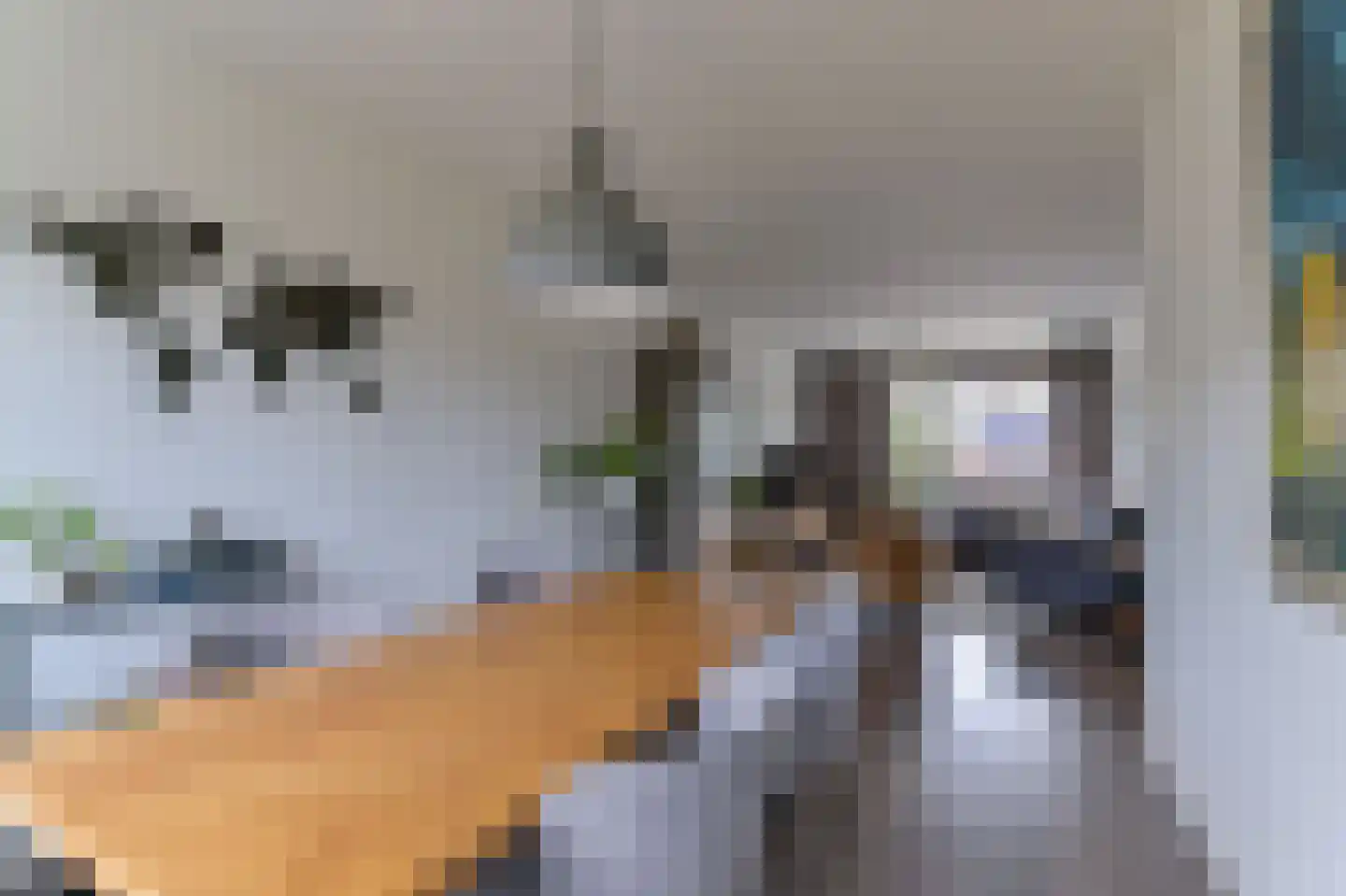 Laaghuissingel 25 Venlo thumbnail 7