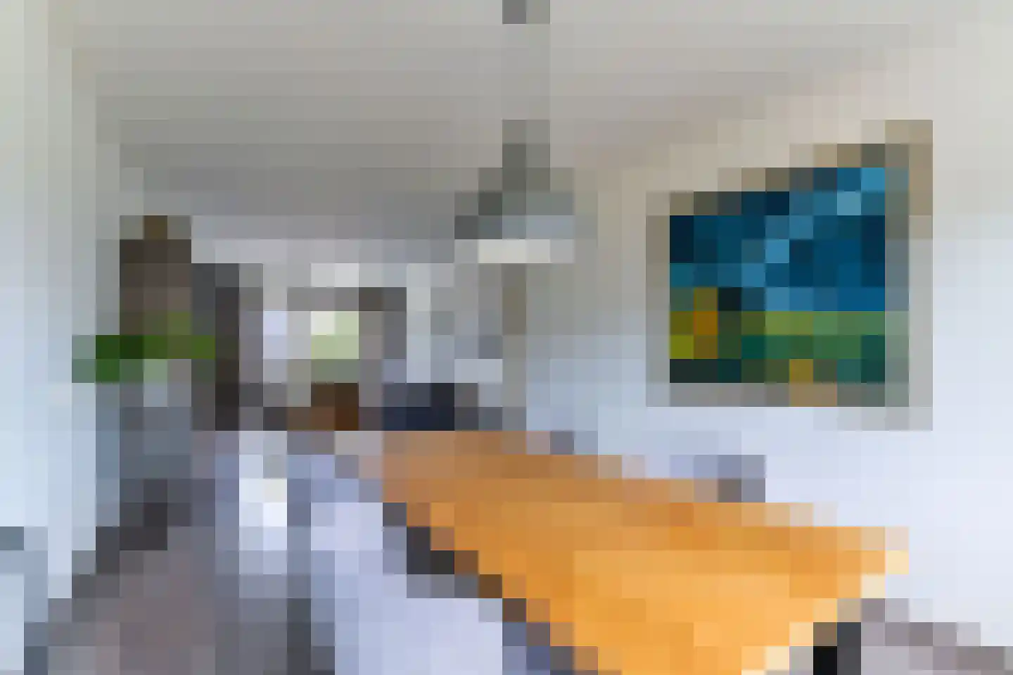 Laaghuissingel 25 Venlo thumbnail 9