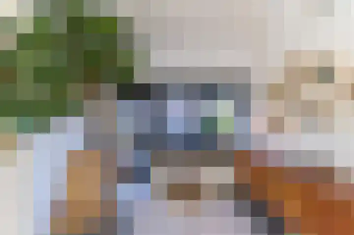 Laaghuissingel 3 A Venlo thumbnail 11