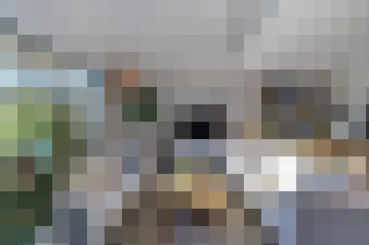 Laaghuissingel 3 A Venlo thumbnail 12