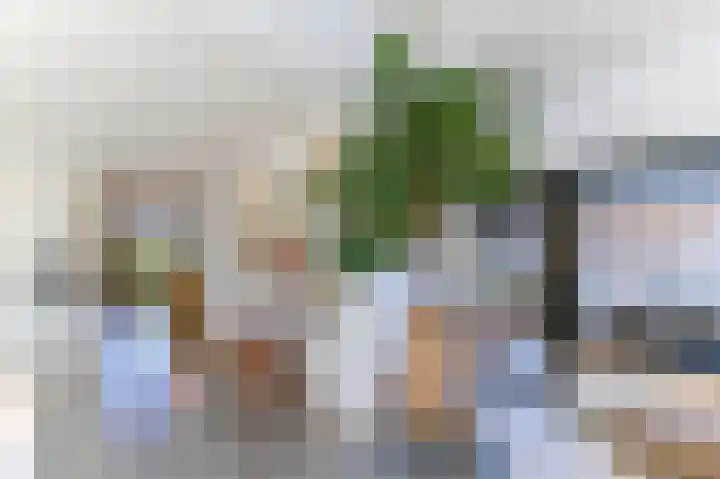 Laaghuissingel 3 A Venlo thumbnail 13