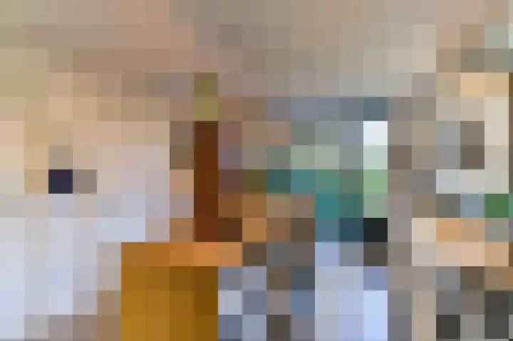 Laaghuissingel 3 A Venlo thumbnail 14