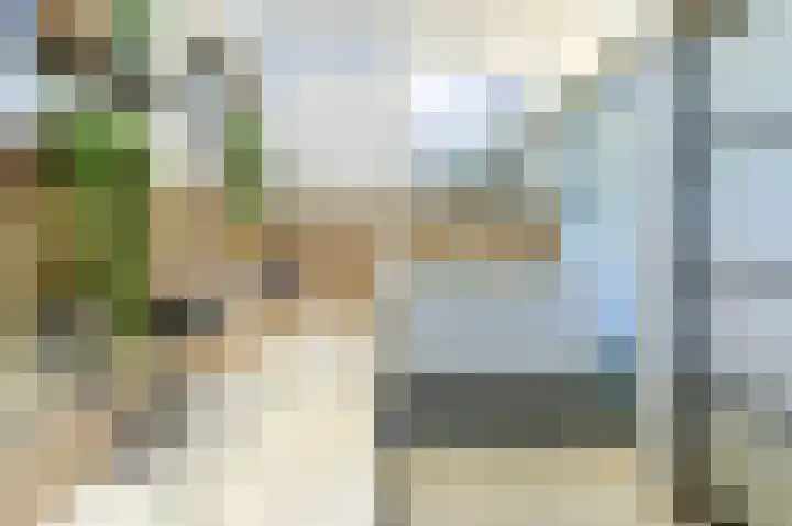Laaghuissingel 3 A Venlo thumbnail 20