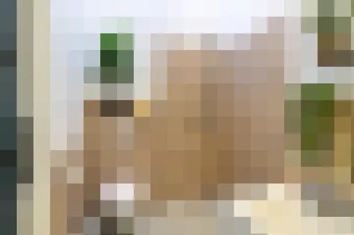 Laaghuissingel 3 A Venlo thumbnail 21