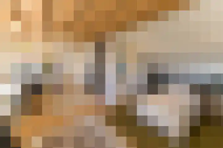Laaghuissingel 3 A Venlo thumbnail 24