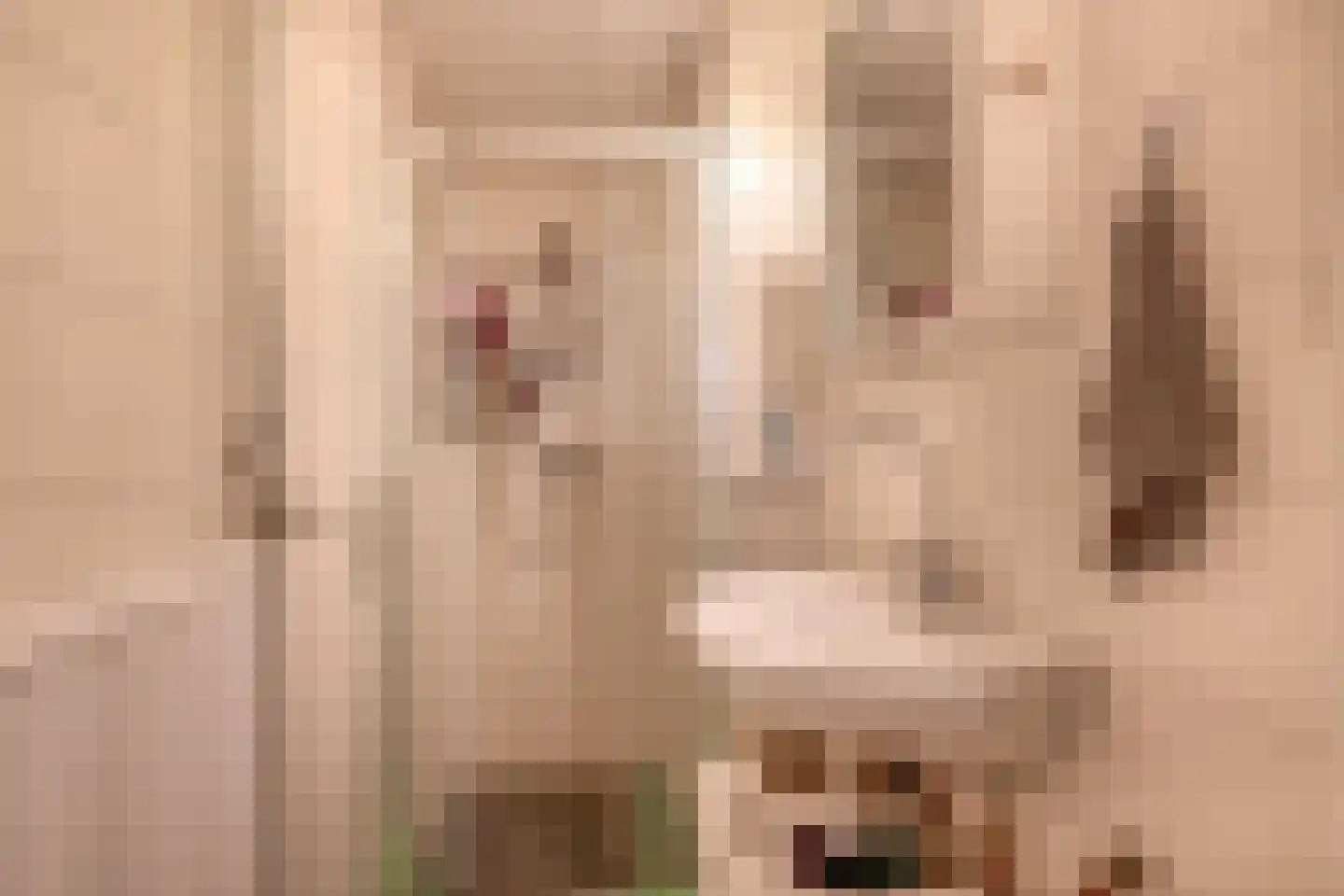 Laaghuissingel 63 Venlo thumbnail 12