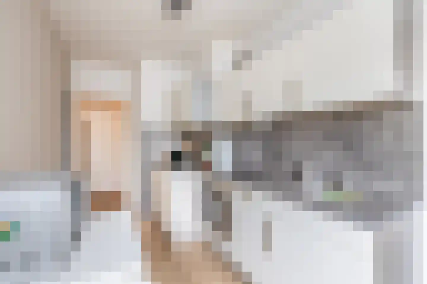 Laaghuissingel 63 Venlo thumbnail 7