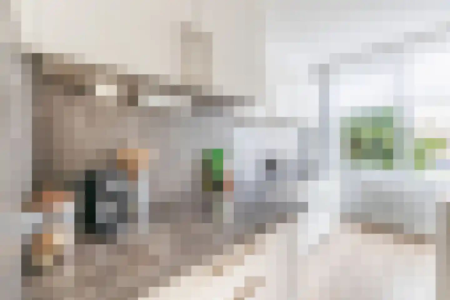 Laaghuissingel 63 Venlo thumbnail 8