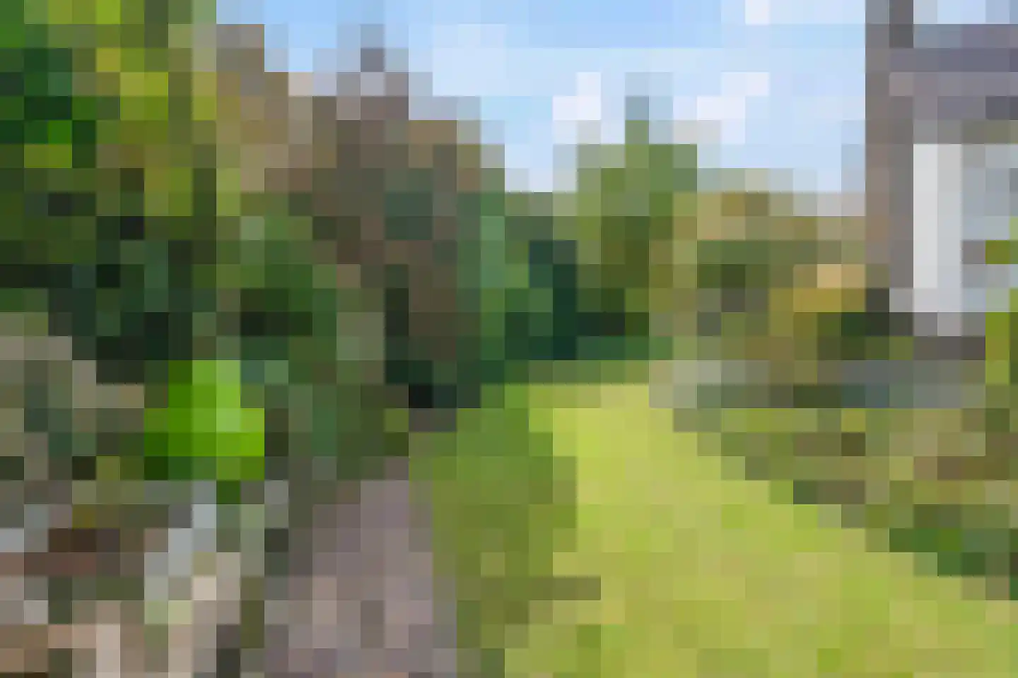 Laaghuissingel 7 Venlo thumbnail 29