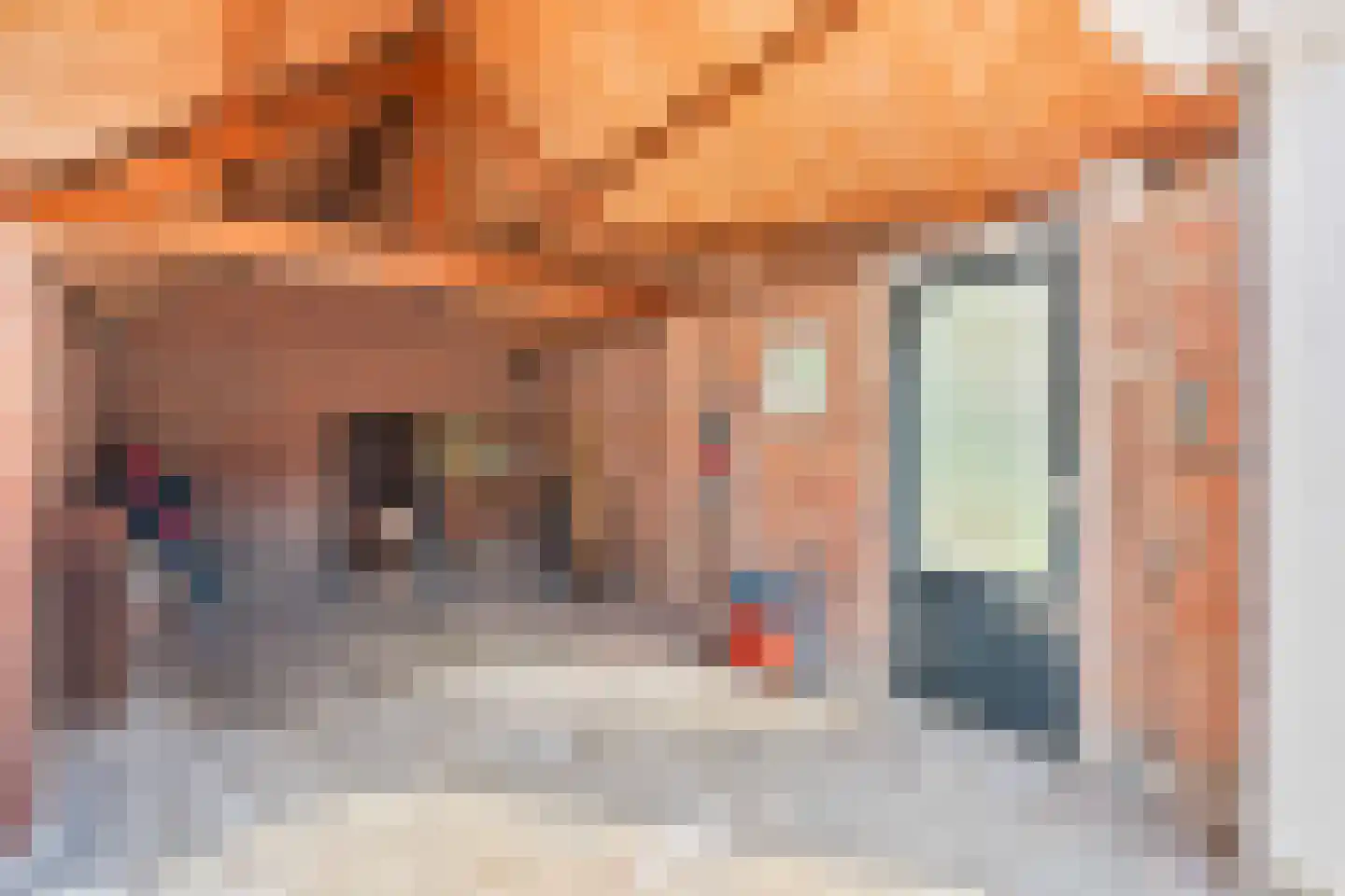 Laaghuissingel 7 Venlo thumbnail 32