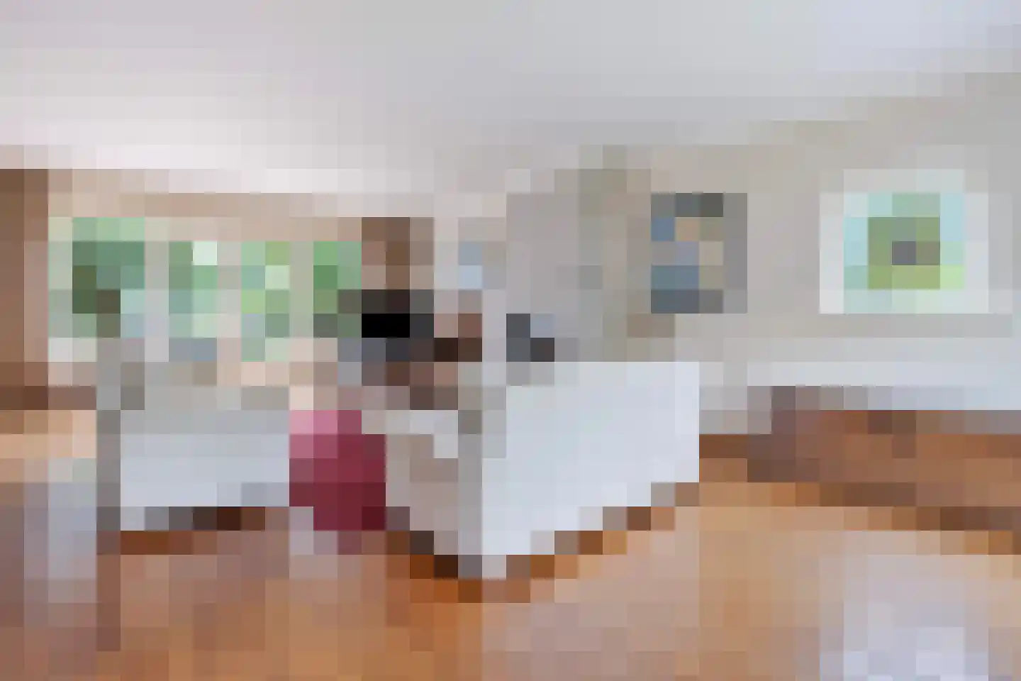 Laaghuissingel 7 Venlo thumbnail 4
